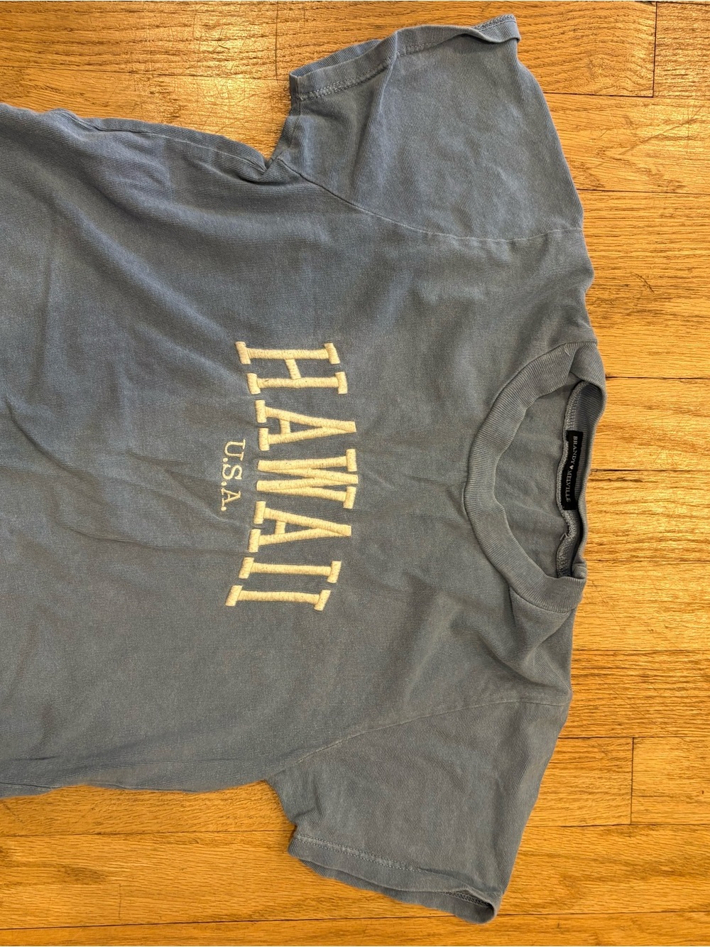 Brandy Melville Dusty Blue Crewneck Tee